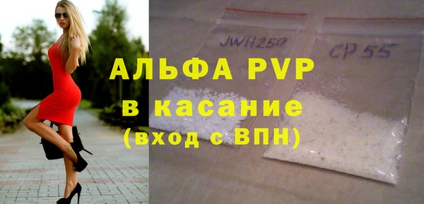 прущие грибы Калининец