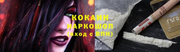 гашик Покровск