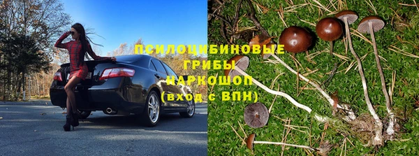 винт Дмитров