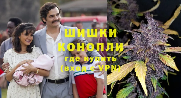 гашик Покровск