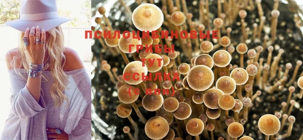 гашиш Пересвет