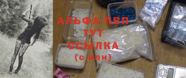 гашик Покровск